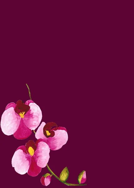 Kartka Ślub Lub Urodziny Ręcznie Rysunku Orchidei Kwiat Rysunek Akwarela — Zdjęcie stockowe