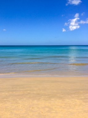 Sahil, palmiye ağaçları ve Phuket Adası 'ndaki Tayland Andaman Denizi.