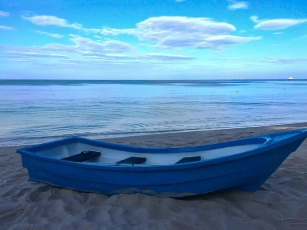 Sahil, palmiye ağaçları ve Phuket Adası 'ndaki Tayland Andaman Denizi.