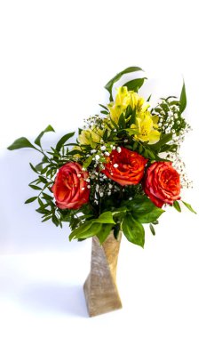 Beyaz arka planda izole edilmiş kırmızı gül çiçekleri