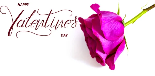 Buon San Valentino Carta Banner Online Biglietto Auguri Flat Lay — Foto Stock