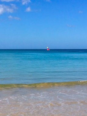 Sahil, palmiye ağaçları ve Phuket Adası 'ndaki Tayland Andaman Denizi.