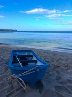 Sahil, palmiye ağaçları ve Phuket Adası 'ndaki Tayland Andaman Denizi.