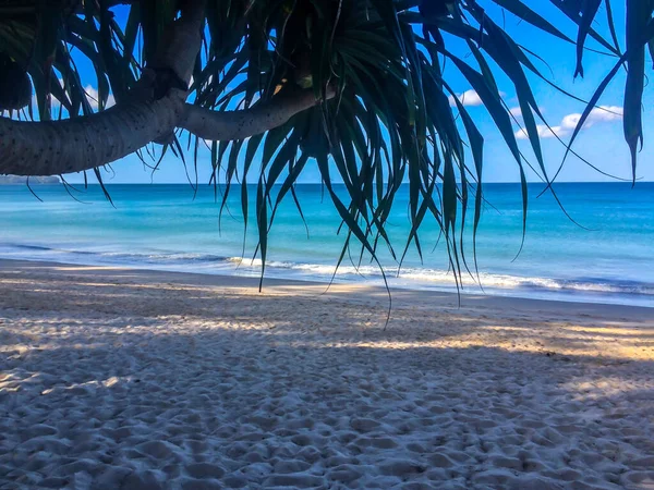 泰国普吉岛的海滩 棕榈树和安达曼海 — 图库照片#