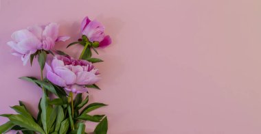 Sevgililer Günün kutlu olsun! Kart, internet afişi, tebrik kartı, Sevgililer Günü 'nde düzlük.