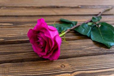 Sevgililer Günün kutlu olsun! Kart, internet afişi, tebrik kartı, Sevgililer Günü 'nde düzlük.