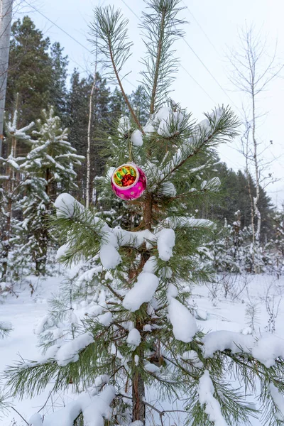 Bola Natal Inverno Floresta Árvore — Fotografia de Stock