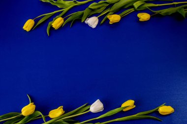 Düğün, doğum günü, parti ya da diğer kutlamalar için fotokopi odası olan daire.. 