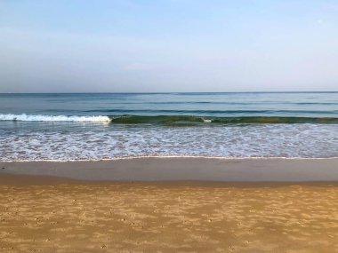 Sahil, palmiye ağaçları ve Phuket Adası 'ndaki Tayland Andaman Denizi.