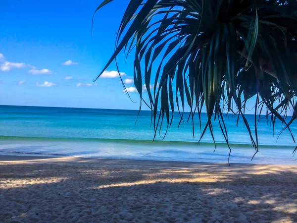 Plaża Palmy Morze Andaman Tajlandii Wyspie Phuket — Zdjęcie stockowe