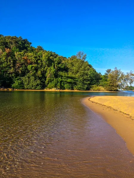 Plaża Palmy Morze Andaman Tajlandii Wyspie Phuket — Zdjęcie stockowe