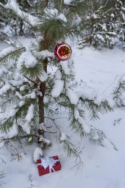 Bola Natal Inverno Floresta Árvore — Fotografia de Stock