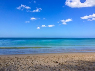 Sahil, palmiye ağaçları ve Phuket Adası 'ndaki Tayland Andaman Denizi.