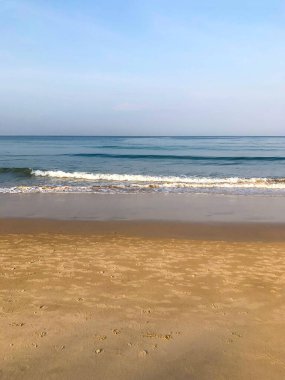 Sahil, palmiye ağaçları ve Phuket Adası 'ndaki Tayland Andaman Denizi.