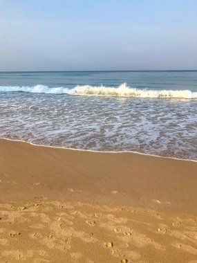 Sahil, palmiye ağaçları ve Phuket Adası 'ndaki Tayland Andaman Denizi.