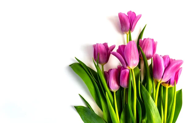 Sevgililer Günün kutlu olsun! Kart, internet afişi, tebrik kartı, Sevgililer Günü 'nde düzlük.