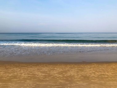 Sahil, palmiye ağaçları ve Phuket Adası 'ndaki Tayland Andaman Denizi.