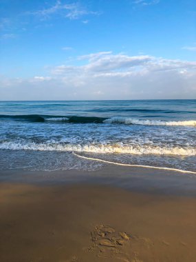 Sahil, palmiye ağaçları ve Phuket Adası 'ndaki Tayland Andaman Denizi.
