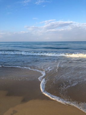 Sahil, palmiye ağaçları ve Phuket Adası 'ndaki Tayland Andaman Denizi.