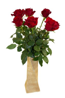 Beyaz arka planda izole edilmiş kırmızı gül çiçekleri