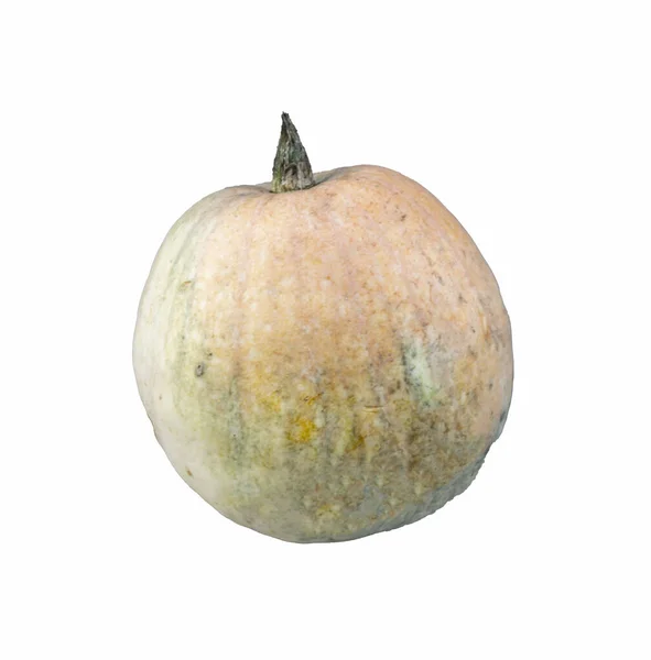 Realistic Pumpkin Isolated White Background Close Halloween Symbol — Stock Photo, Image