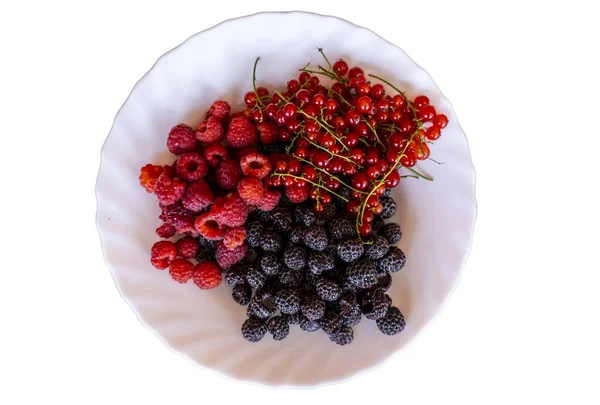 Raspberry Berries Blackberry Red Currant Plate — Stock Photo, Image