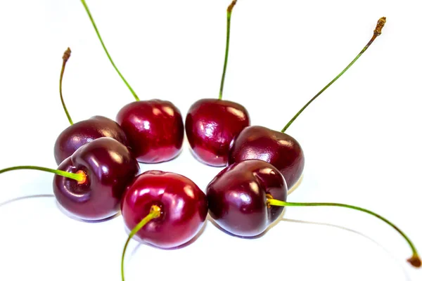 Aislado Sobre Fondo Cereza Blanca —  Fotos de Stock