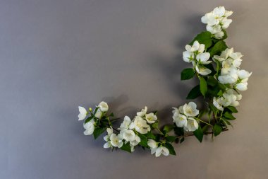 Düğün, doğum günü, parti ya da diğer kutlamalar için fotokopi odası olan daire, Güzel Beyaz Yasemin Çiçekleri