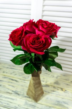 fotoğraf kırmızı, pembe, mor güller