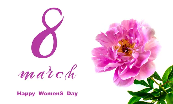 国際女性デー3月8日 フラットレイ バナー 3月8日から花とグリーティングカード — ストック写真