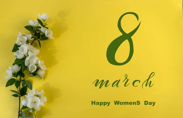 Dia Internacional Mulher Março Flat Lay Banner Cartão Felicitações Com — Fotografia de Stock