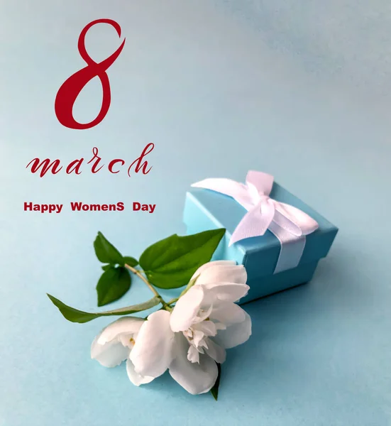 International Women Day March Flat Lay Banner Greeting Card Flowers — Stock Photo, Image