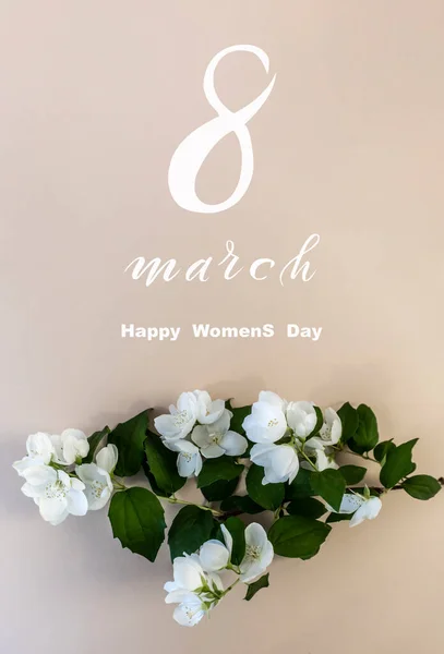 Międzynarodowy Dzień Kobiet Marca Flat Lay Sztandar Kartka Życzeniami Kwiatami — Zdjęcie stockowe