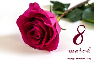8 Mart Uluslararası Kadınlar Günü! Düz Yat, afiş, 8 Mart 'tan kalma çiçekli tebrik kartı.