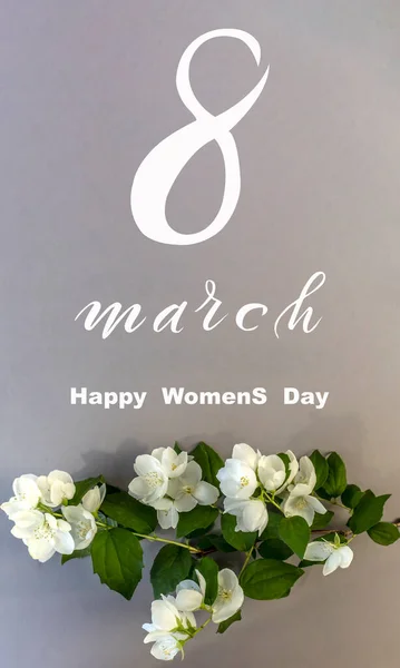 国際女性デー3月8日 フラットレイ バナー 3月8日からの花のグリーティングカード 美しい白いジャスミンの花 — ストック写真