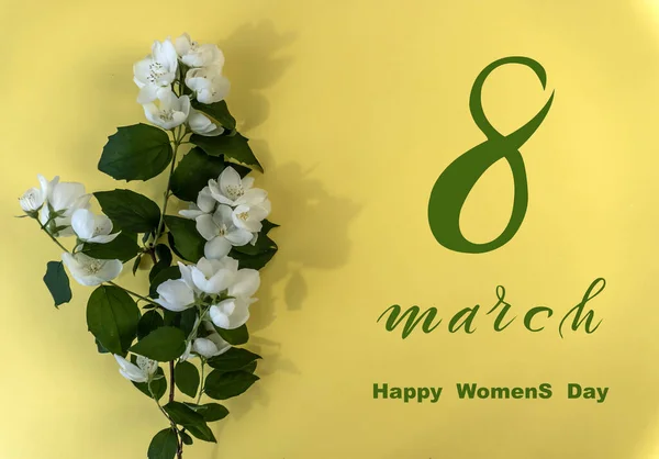 国際女性デー3月8日 フラットレイ バナー 3月8日からの花のグリーティングカード 美しい白いジャスミンの花 — ストック写真