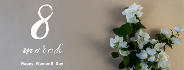 国庆节三月八日 3月8日花贺卡 美丽的白色茉莉花 — 图库照片