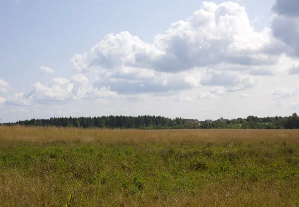 Bulutlar beyaz ile mavi gökyüzü altında yeşil çayır