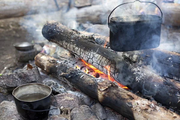 taş orman yangınını dixy olduğunu