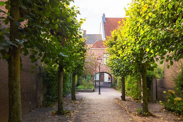 Malebná Ulička Starém Městě Zutphen Nizozemsko — Stock fotografie