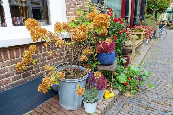 Décoration Florale Automnale Dans Rue Devant Une Maison — Photo