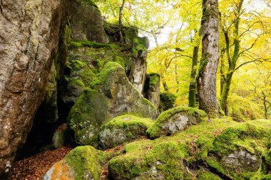 Rocks overgrown with moss in Little Switzerland, Luxembourg