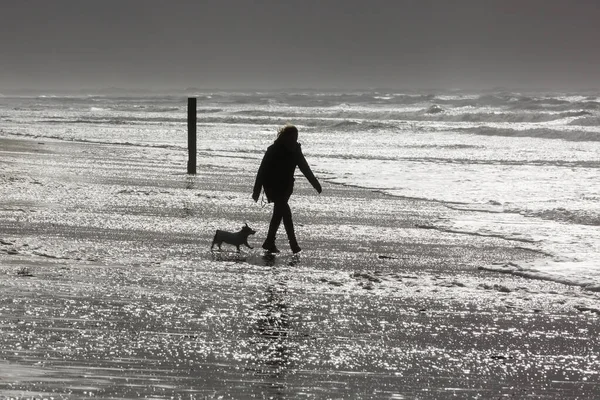 Silhouette Woman Walking Wiht Her Dog Stormy Eather Beach — Stock Photo, Image