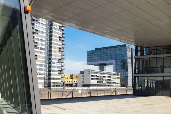 Cologne Nrw Germany July 2022 Crane Houses Rheinauhafen Cologne Rheinauhafen — Stock Photo, Image