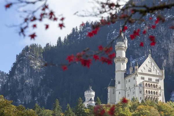 Frauenkirche, güneşli bir sonbahar gününde. Münih, Almanya