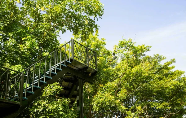 Stahltreppe Freien Auf Garten Mit Aussicht — Stockfoto