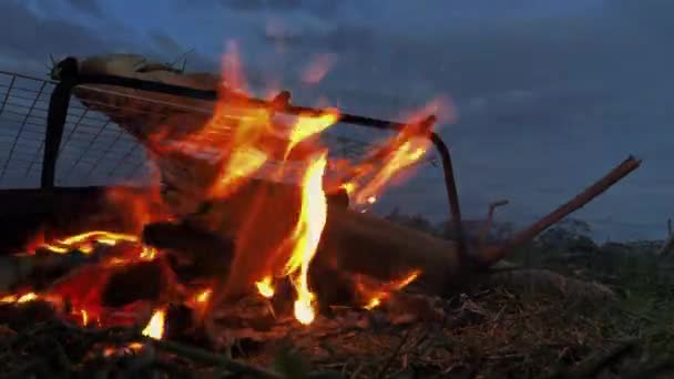 Grill Fish Net Fire Outdoor Camping Night — Wideo stockowe