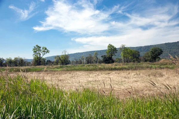 Landscape Rural View Field Autumn Clear Sky — Stock Photo, Image