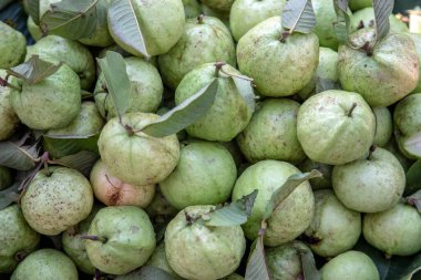 taze guava ve organik meyveli yeşil