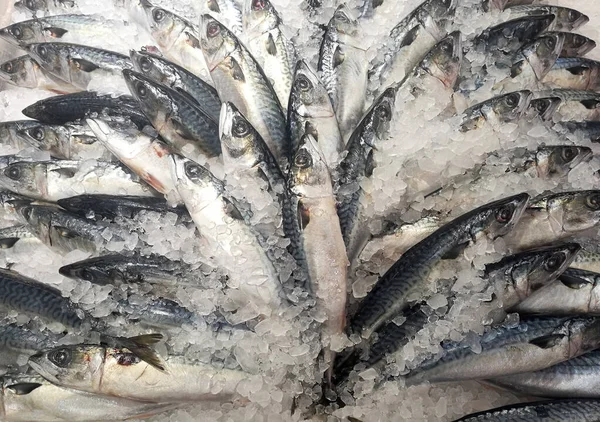 frozen fish on ice for keep fresh fish on market